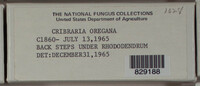 Image Associated With the Occurence